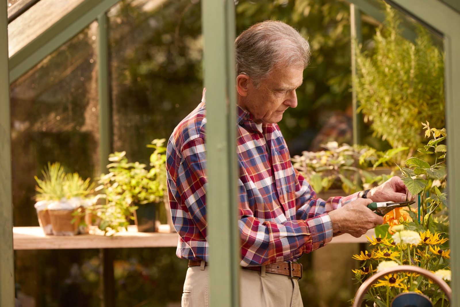 Bluebird Care: a man pruning plants in his greenhouse
